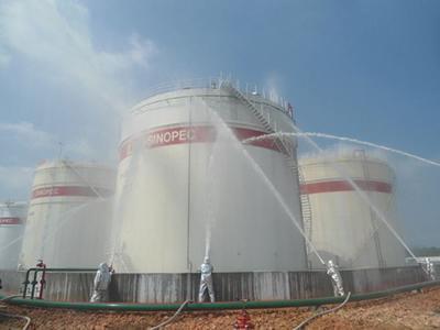 Petroleum and petrochemicals