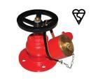 BSI Landing Valve