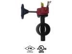 UL FM Grooved End Butterfly Valve with Tamper Switch