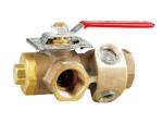 Test and Drain Valve